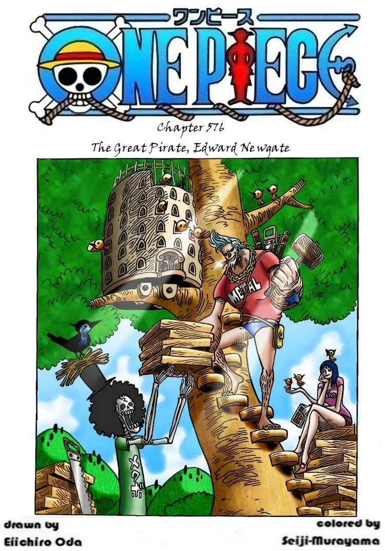 One Piece Chapter 576 - Page 2