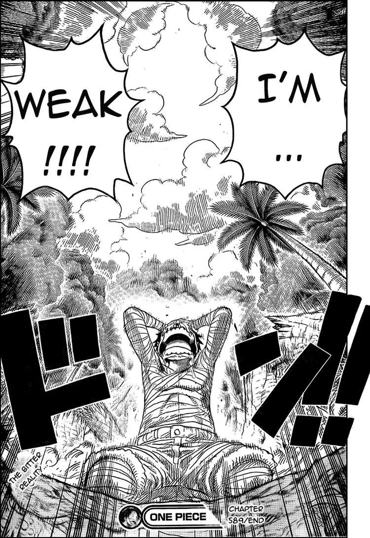 One Piece Chapter 589 - Page 19