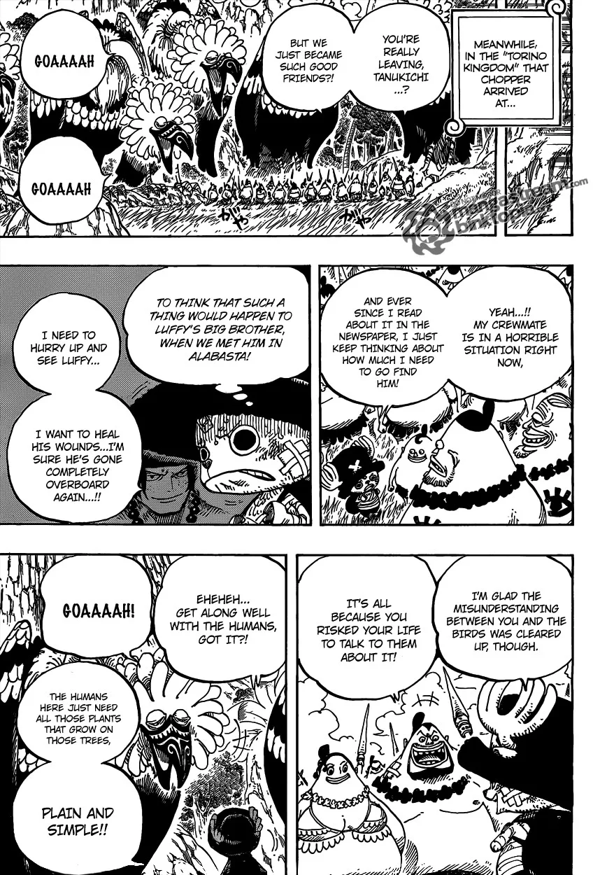 One Piece Chapter 591 - Page 17
