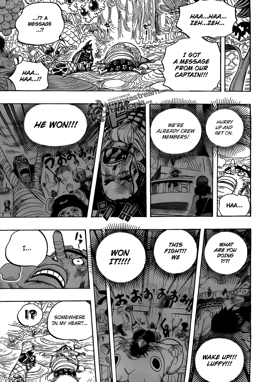 One Piece Chapter 596 - Page 17