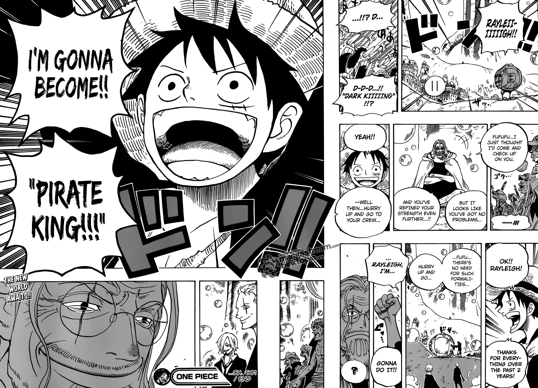 One Piece Chapter 601 - Page 15