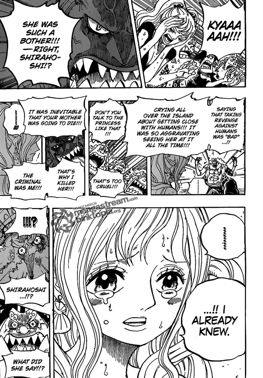 One Piece Chapter 632 - Page 15