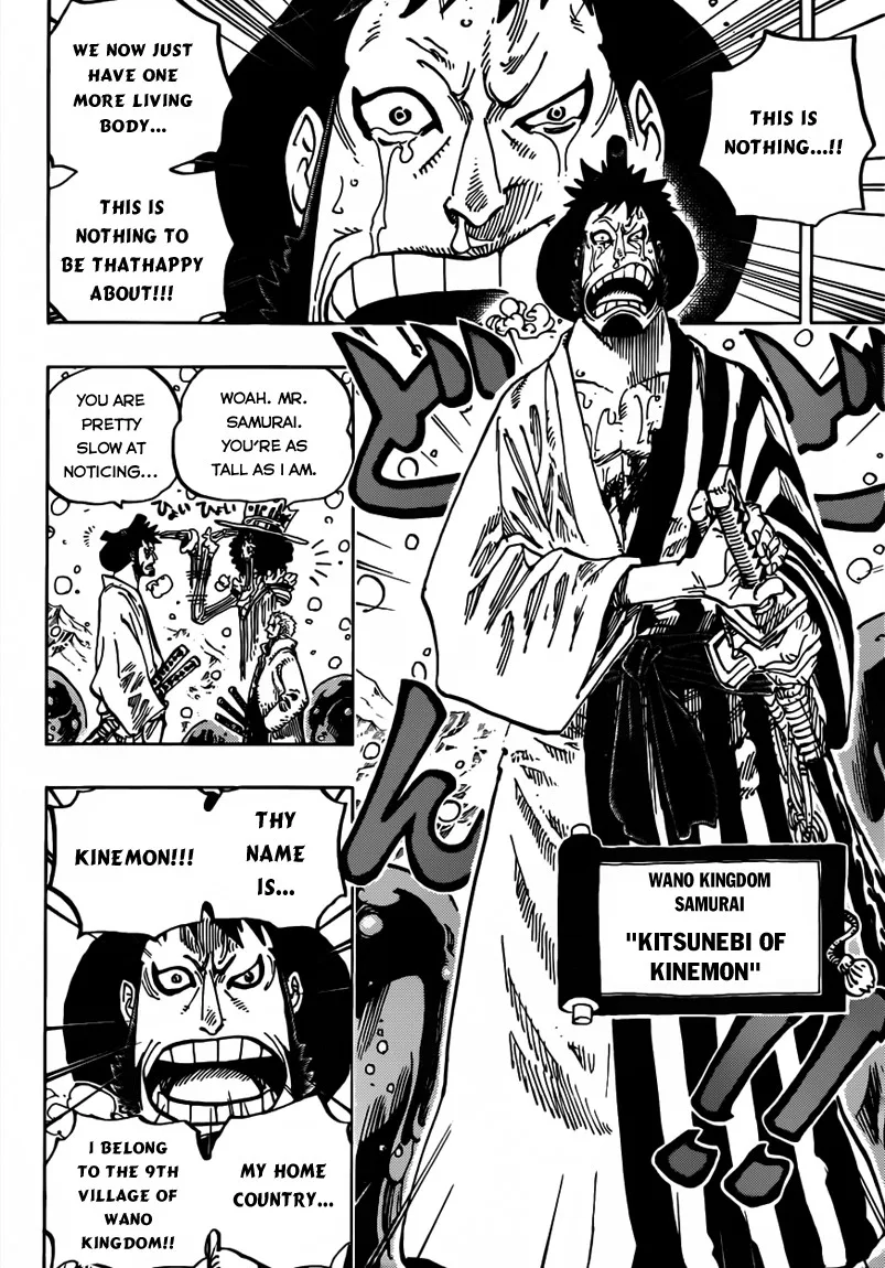 One Piece Chapter 672 - Page 14