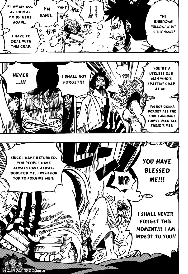 One Piece Chapter 672 - Page 15