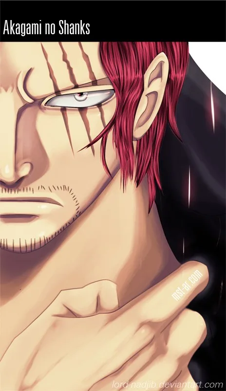 One Piece Chapter 676 - Page 3