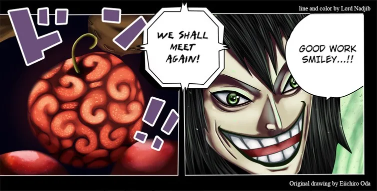One Piece Chapter 677 - Page 3