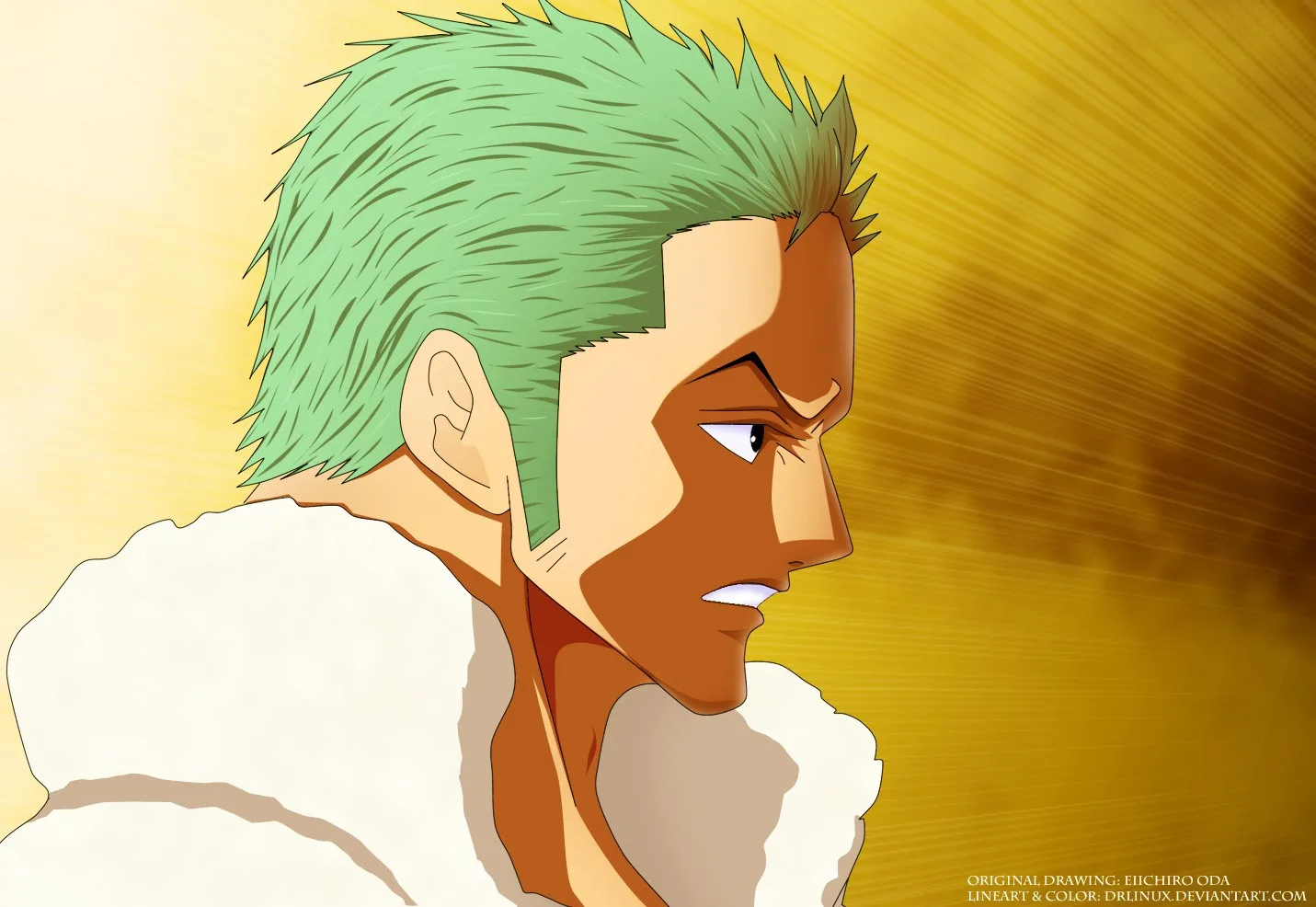 One Piece Chapter 683 - Page 23