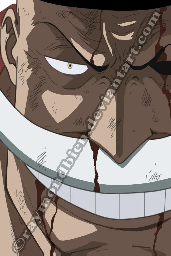 One Piece Chapter 683 - Page 24