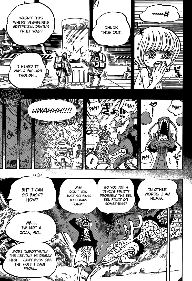 One Piece Chapter 685 - Page 14