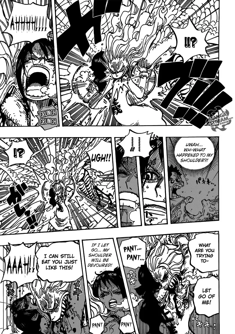 One Piece Chapter 687 - Page 14