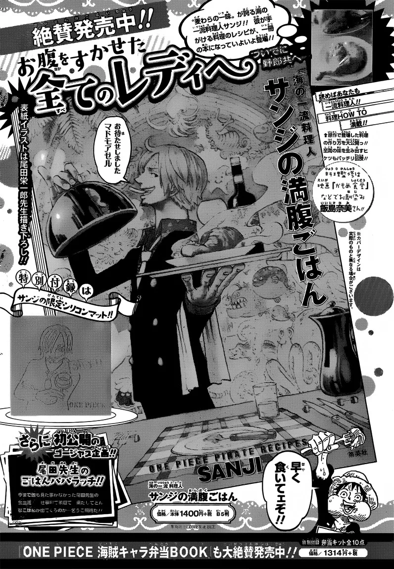 One Piece Chapter 691 - Page 22