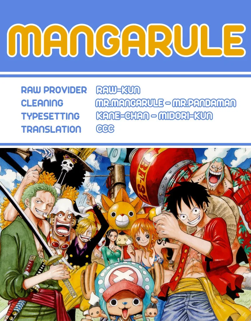 One Piece Chapter 697 - Page 20