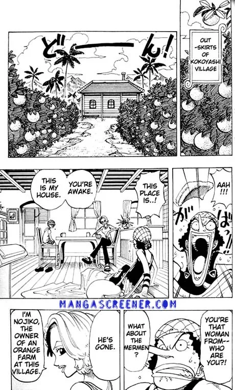 One Piece Chapter 70 - Page 13