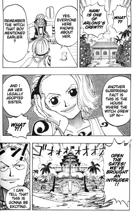 One Piece Chapter 70 - Page 19