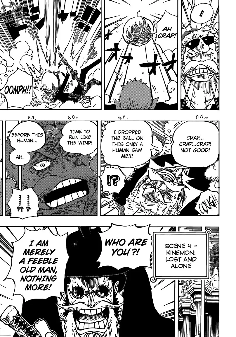 One Piece Chapter 705 - Page 15