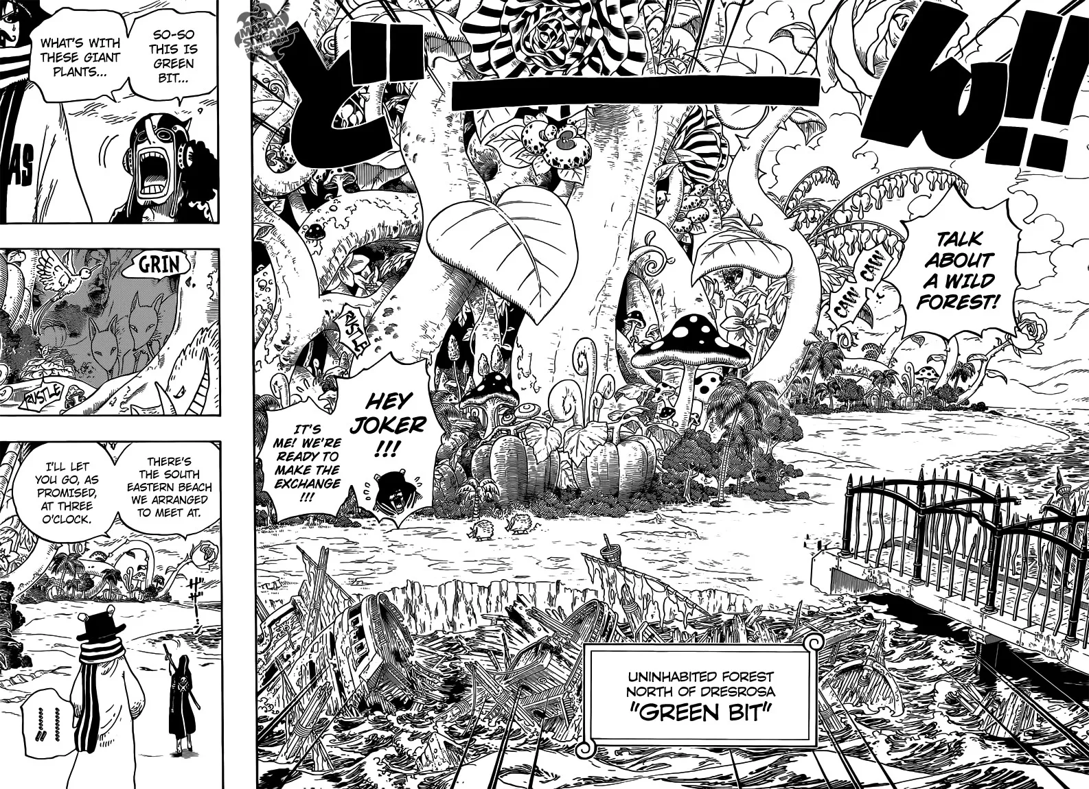 One Piece Chapter 710 - Page 14