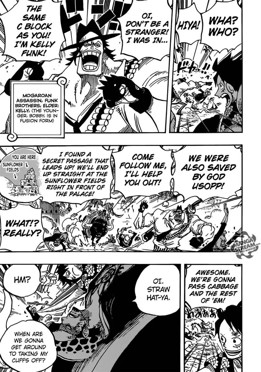 One Piece Chapter 751 - Page 13