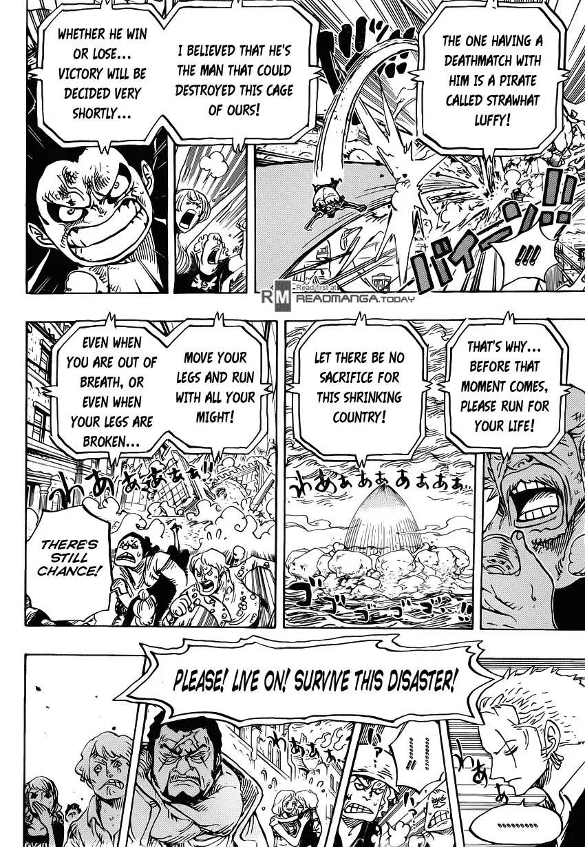 One Piece Chapter 785 - Page 14
