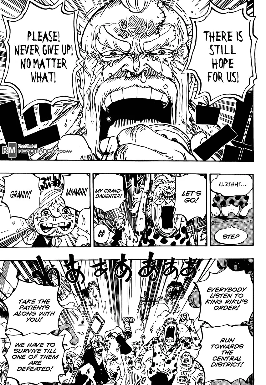One Piece Chapter 785 - Page 15