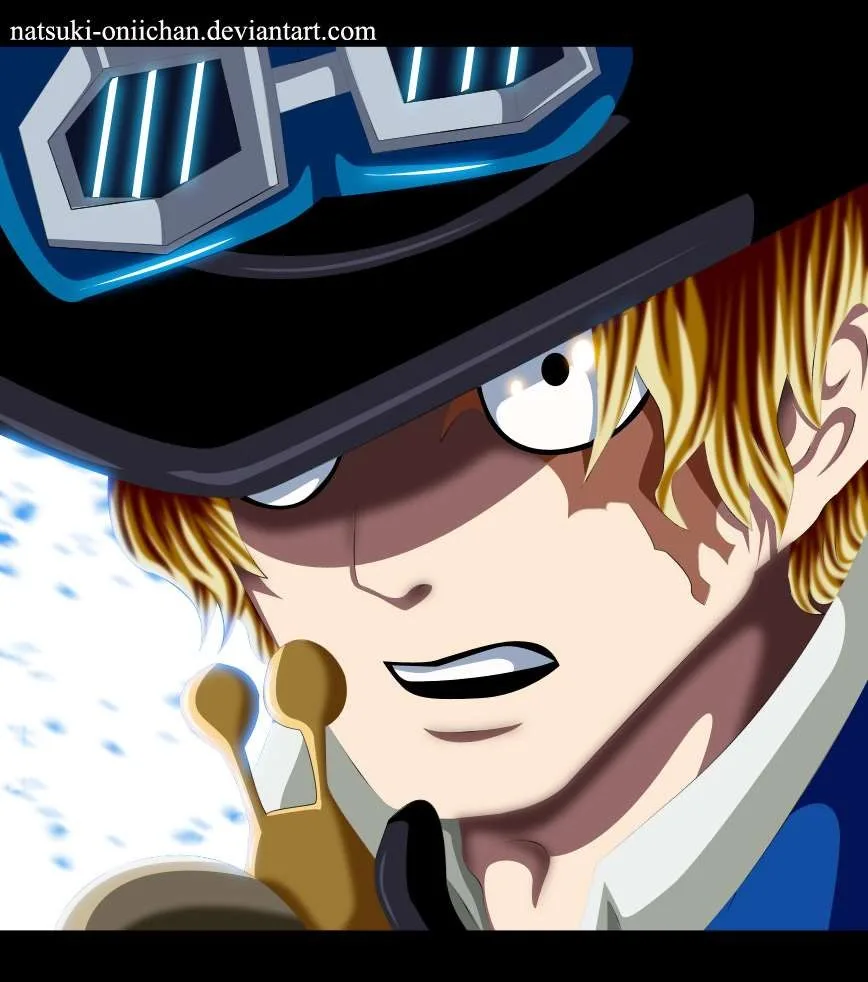 One Piece Chapter 787 - Page 19