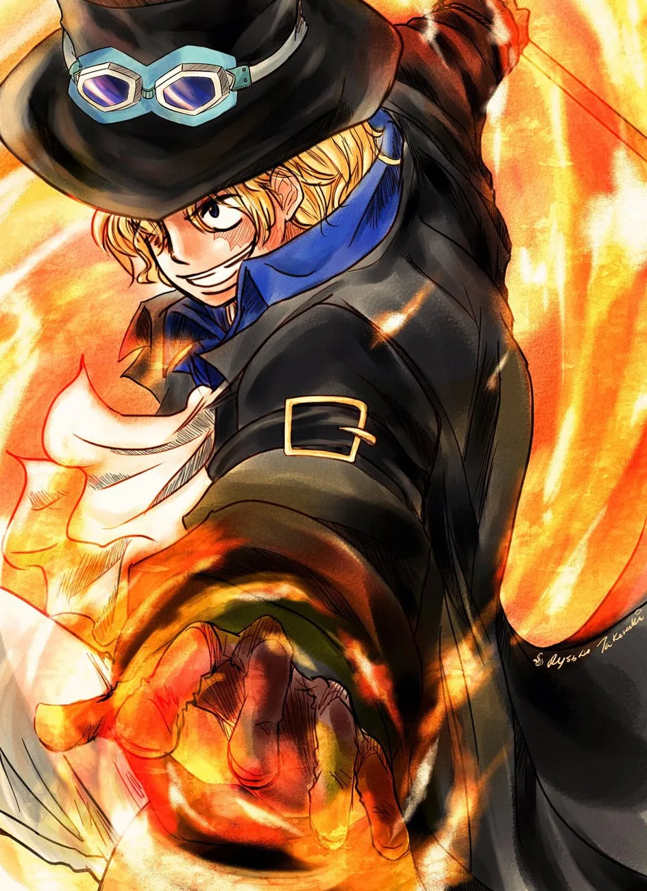 One Piece Chapter 788 - Page 17