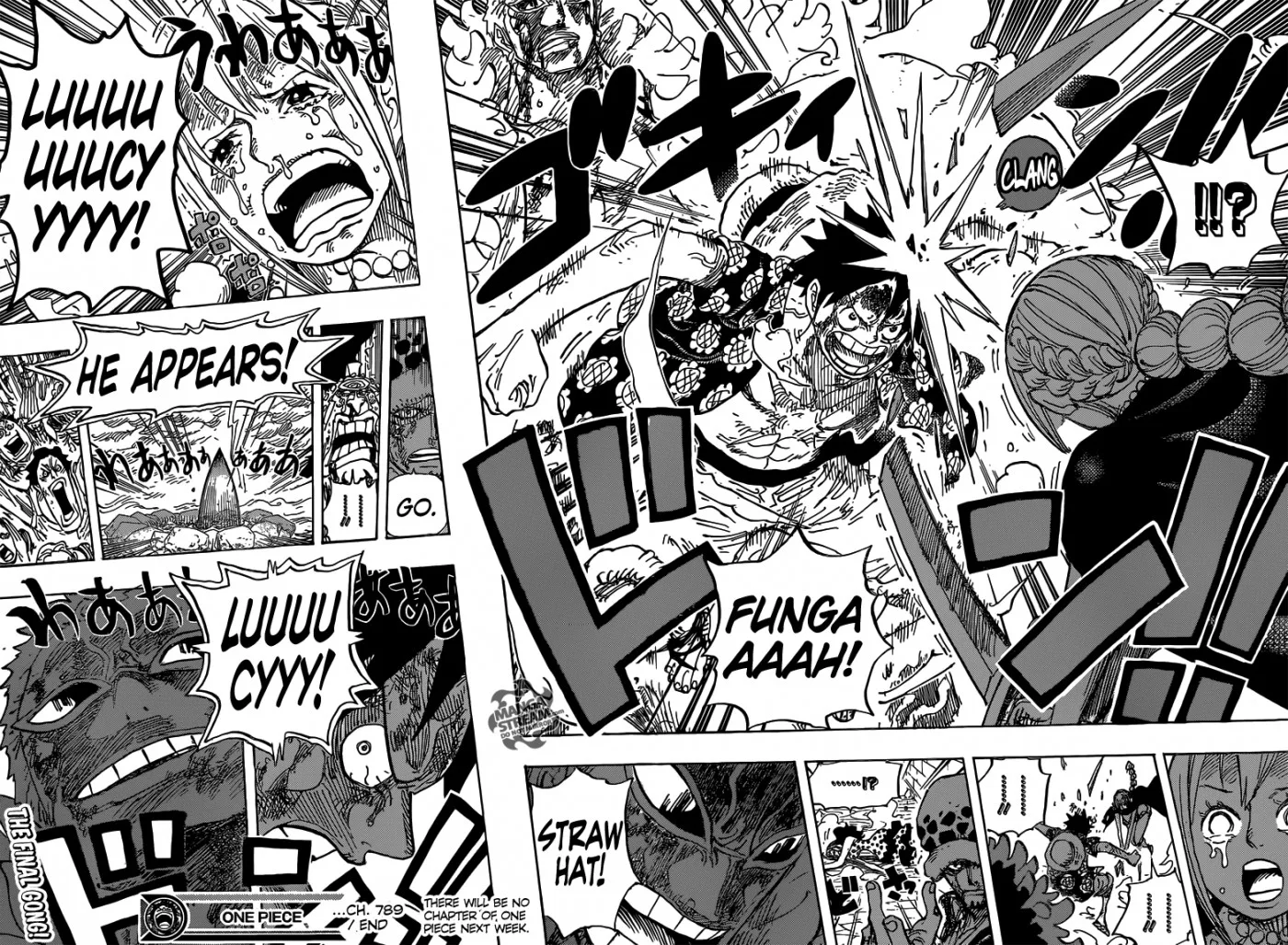 One Piece Chapter 789 - Page 18