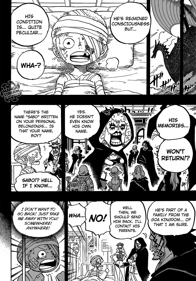 One Piece Chapter 794 - Page 9