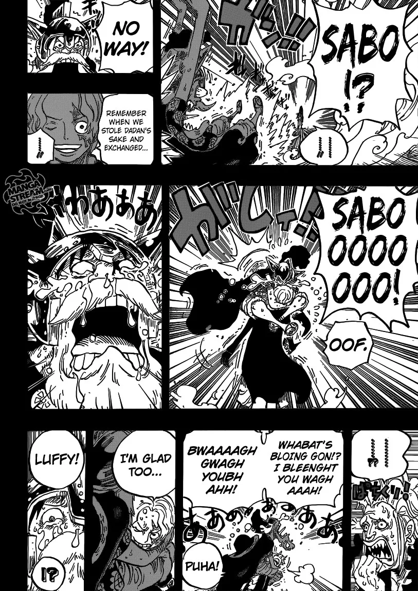 One Piece Chapter 794 - Page 15