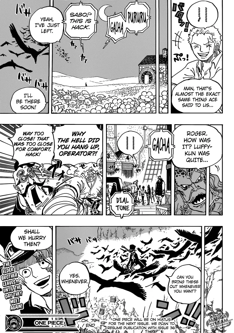 One Piece Chapter 794 - Page 18
