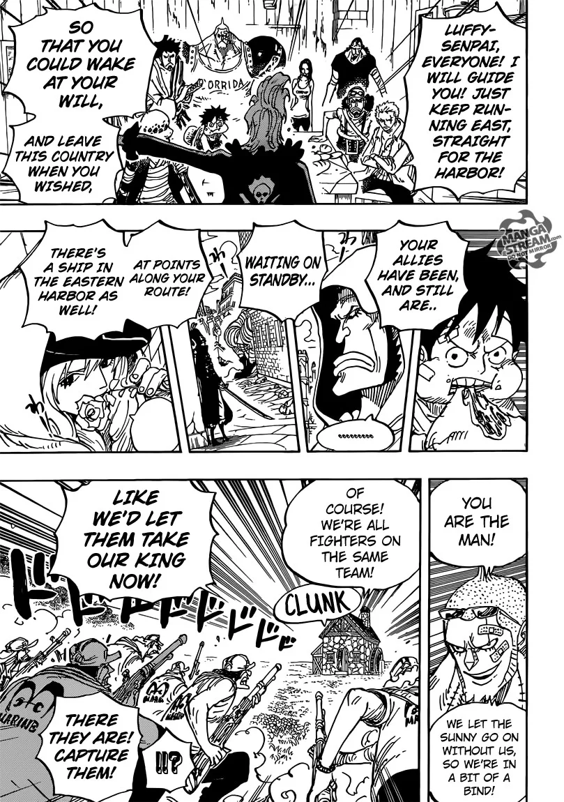 One Piece Chapter 796 - Page 19