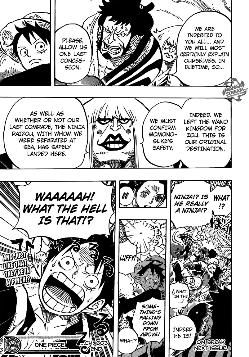 One Piece Chapter 803 - Page 13