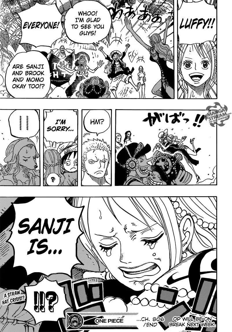 One Piece Chapter 806 - Page 16