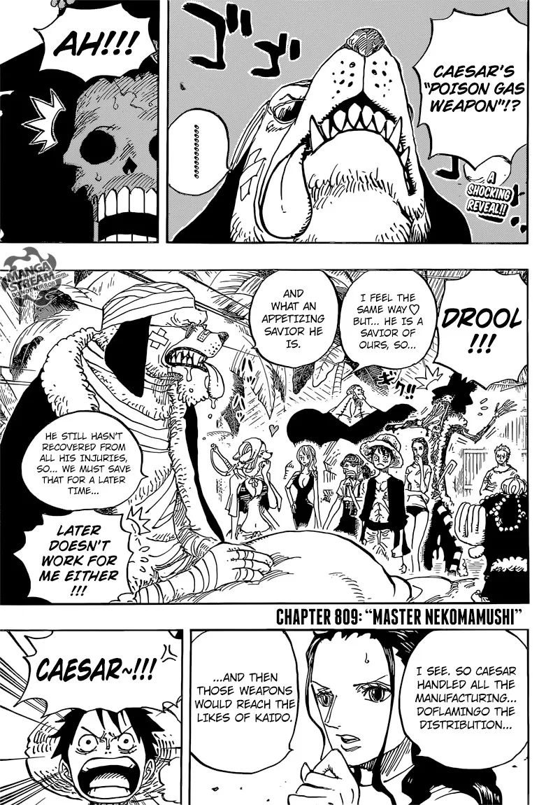 One Piece Chapter 809 - Page 6