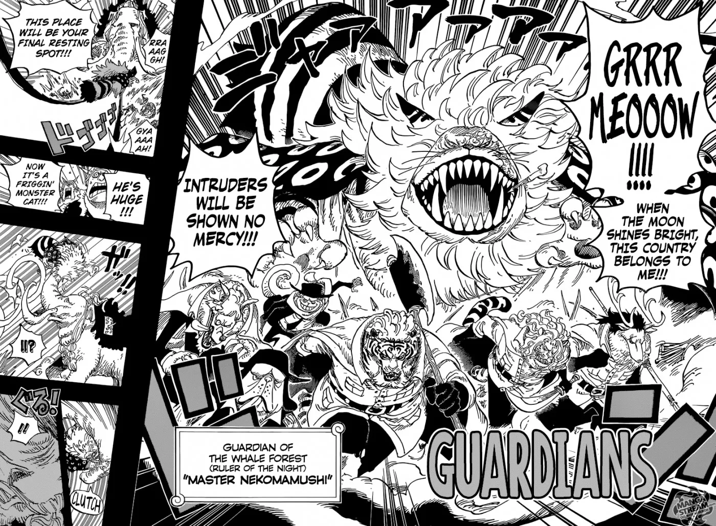 One Piece Chapter 809 - Page 18