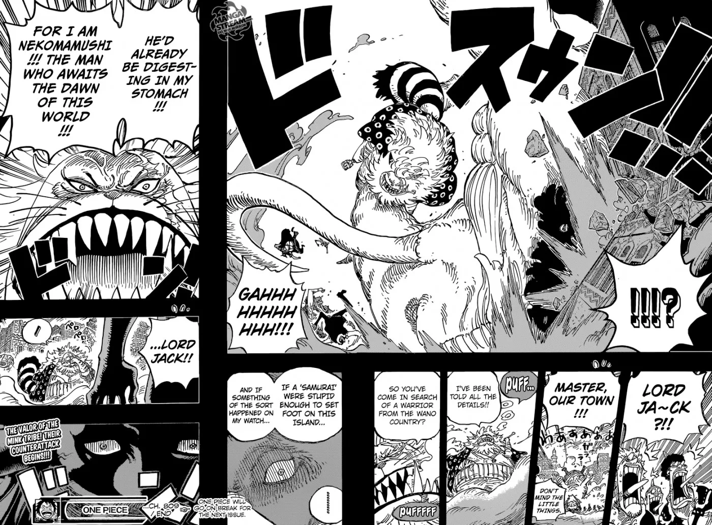 One Piece Chapter 809 - Page 19