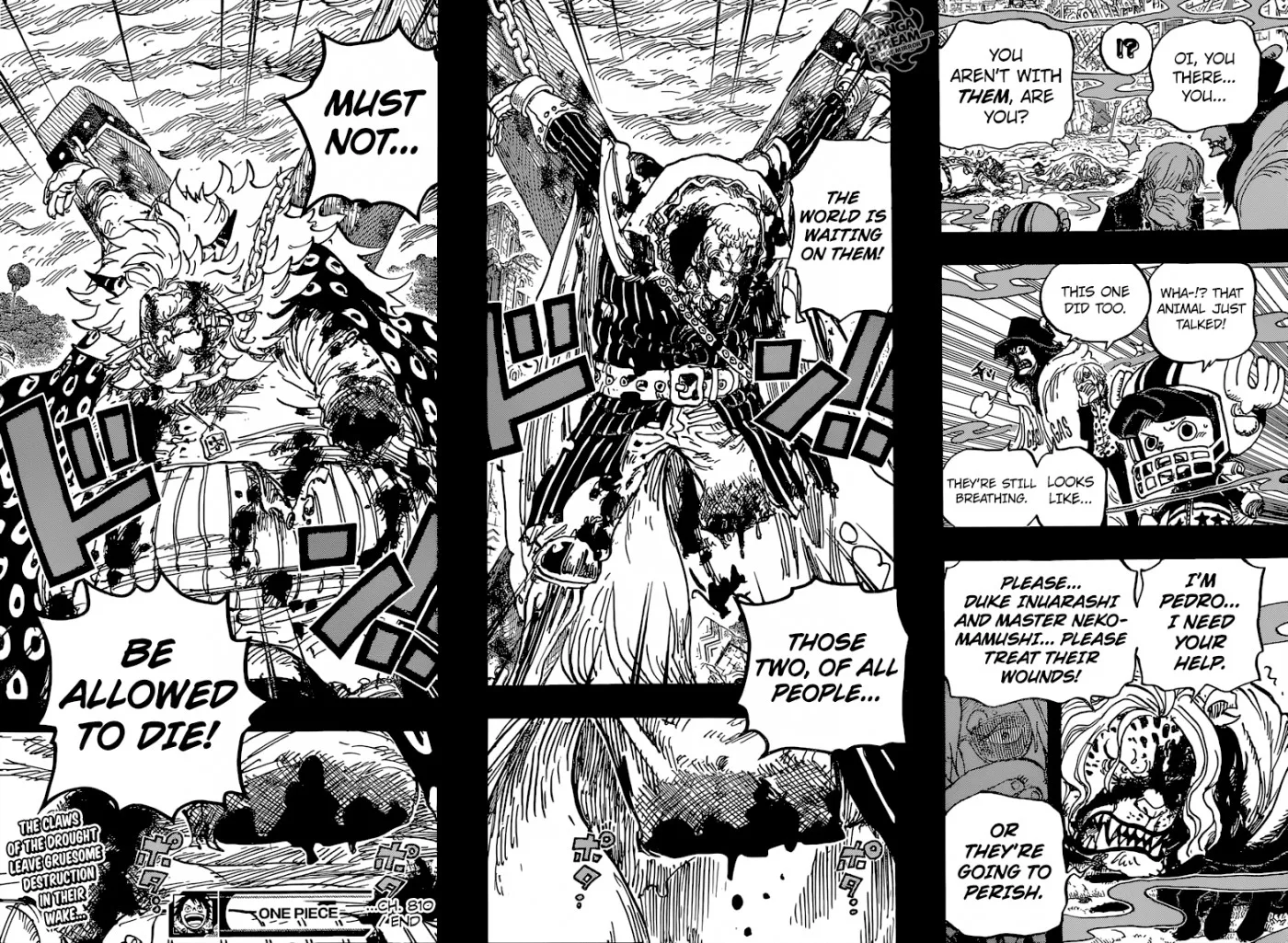 One Piece Chapter 810 - Page 20