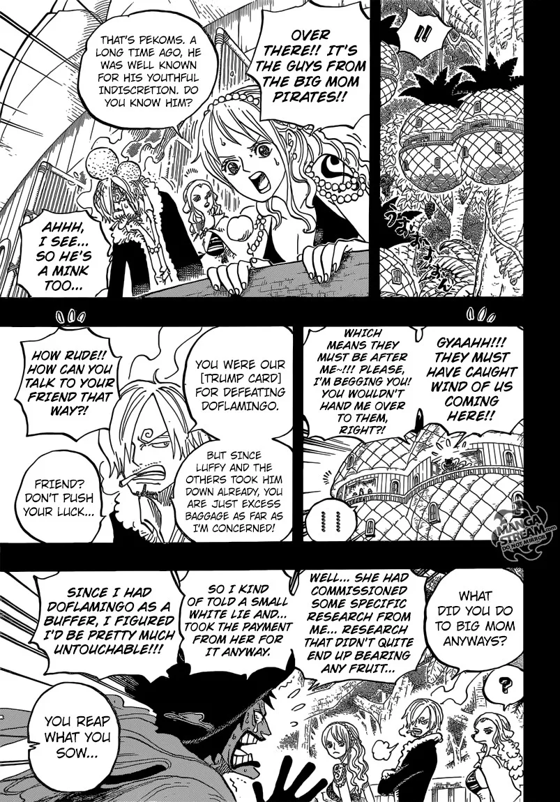 One Piece Chapter 812 - Page 10