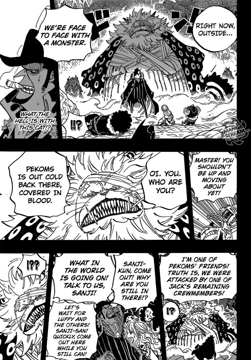 One Piece Chapter 813 - Page 18