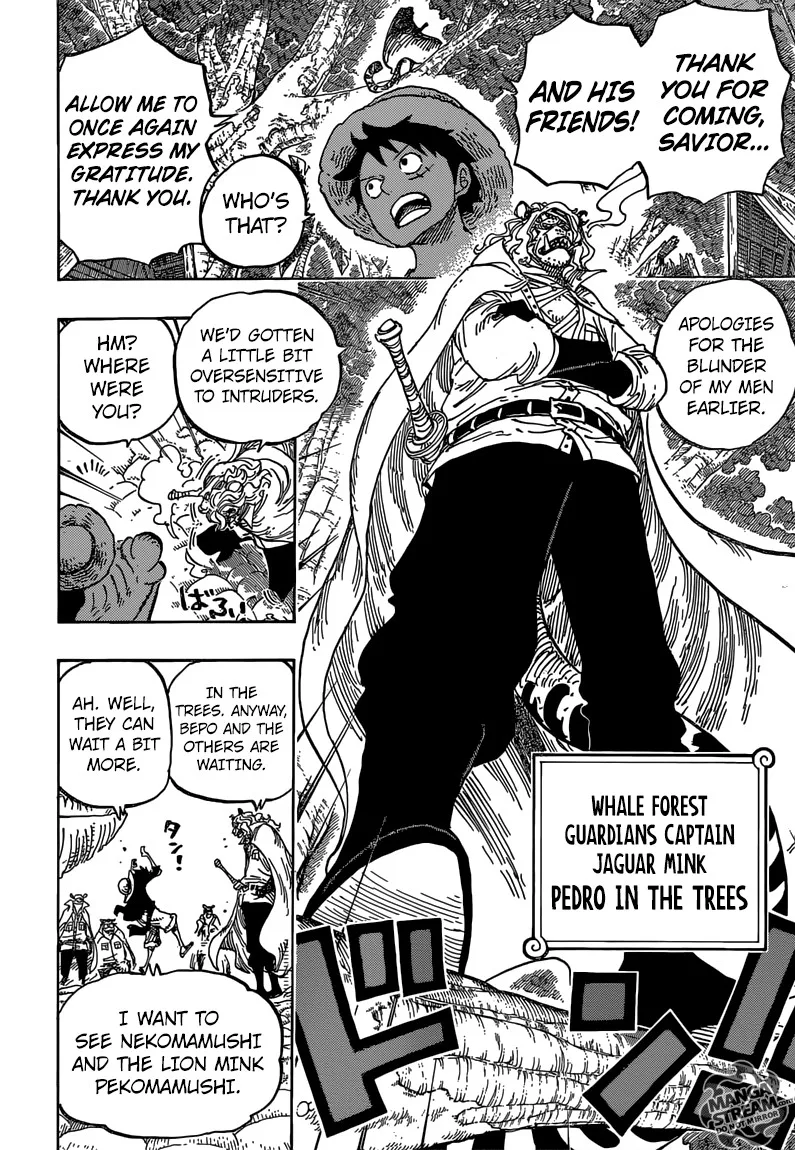 One Piece Chapter 814 - Page 14