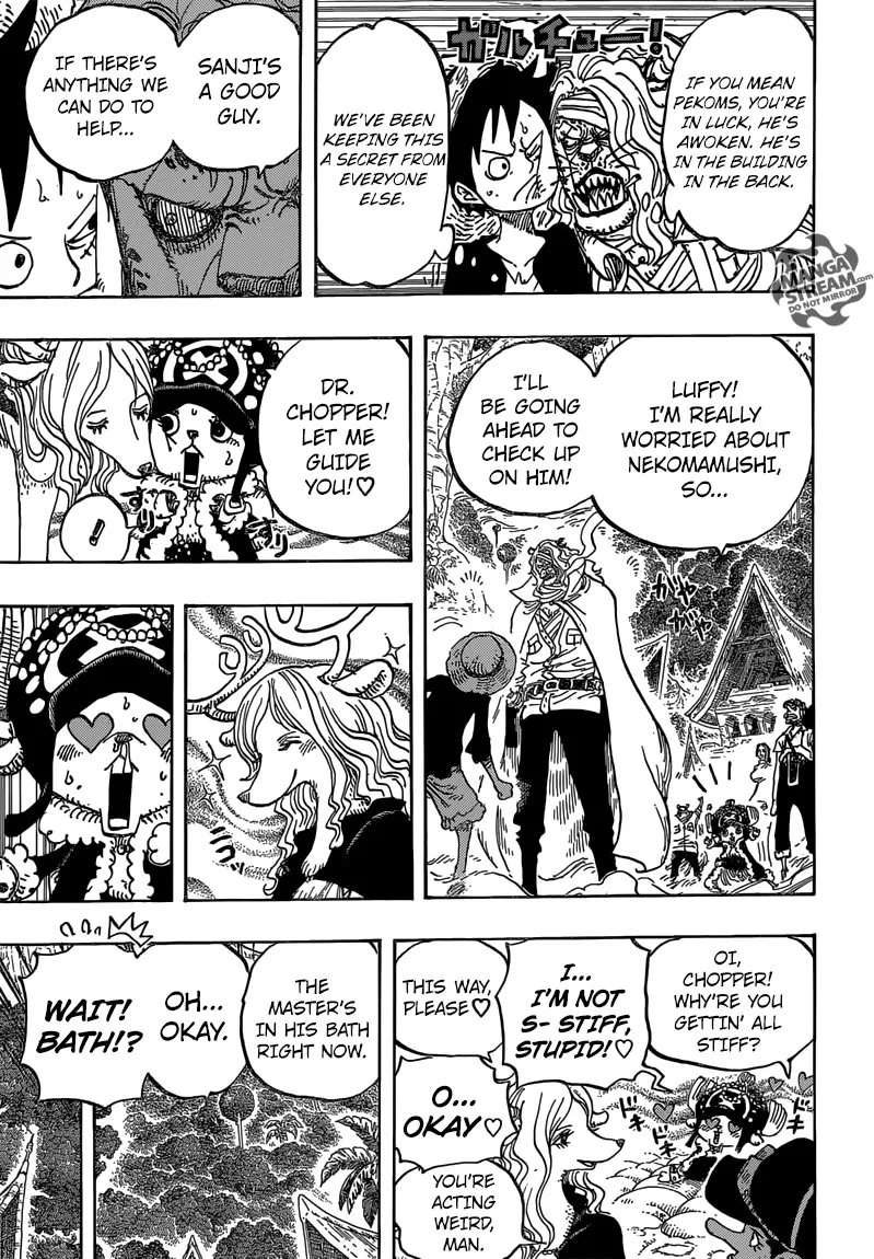 One Piece Chapter 814 - Page 15