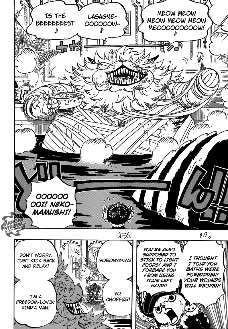 One Piece Chapter 814 - Page 16
