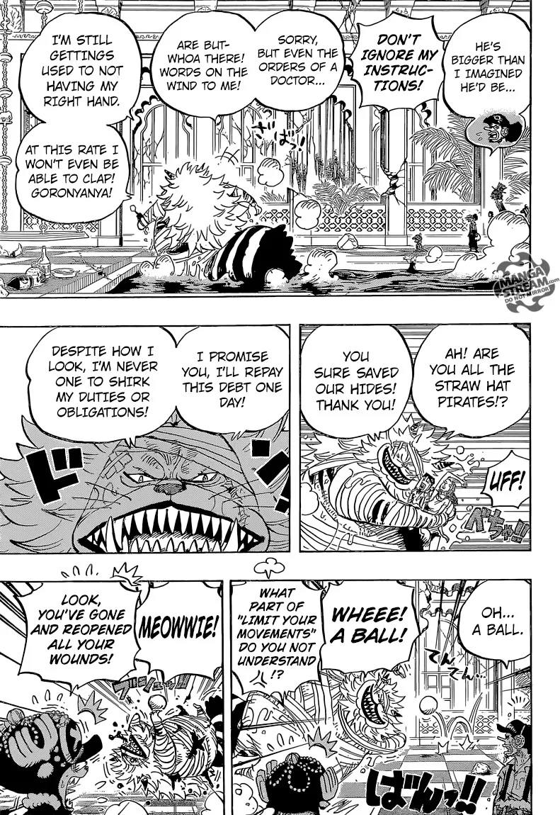 One Piece Chapter 814 - Page 17