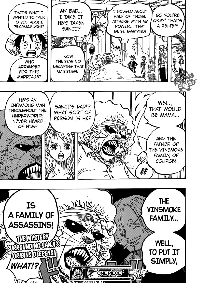 One Piece Chapter 814 - Page 19