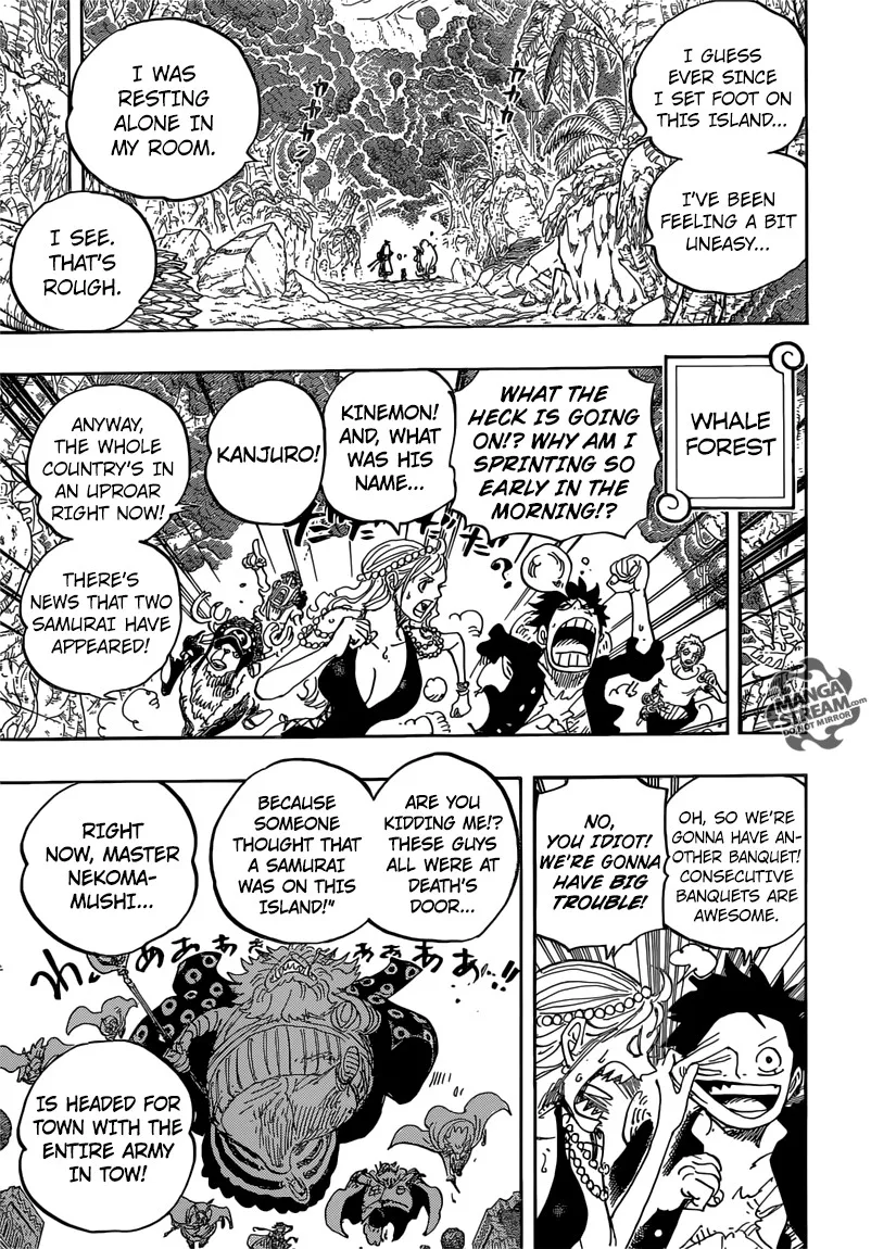 One Piece Chapter 816 - Page 8