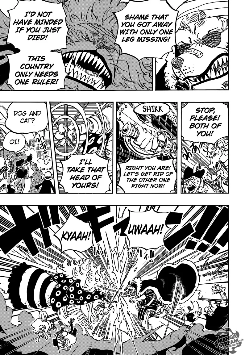 One Piece Chapter 816 - Page 14