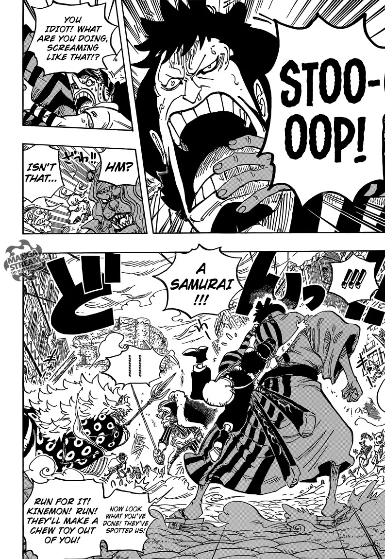 One Piece Chapter 816 - Page 15