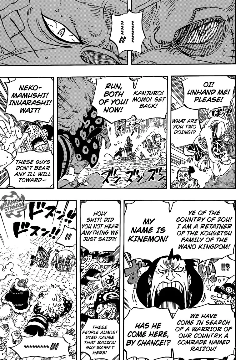 One Piece Chapter 816 - Page 16