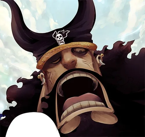 One Piece Chapter 816 - Page 21