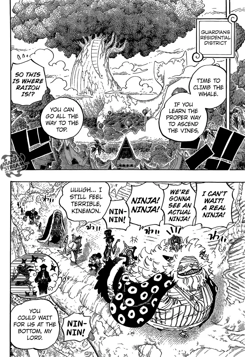 One Piece Chapter 817 - Page 13