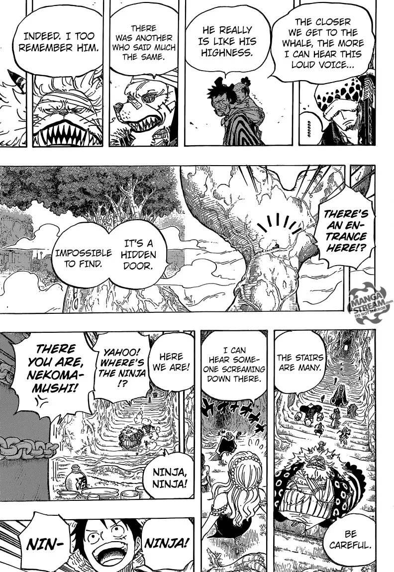 One Piece Chapter 817 - Page 14